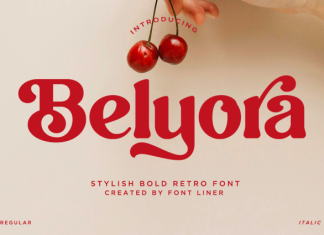 Belyora DEMO Font preview image 1