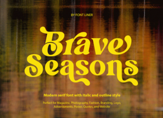 Brave Seasons DEMO Font preview image 1