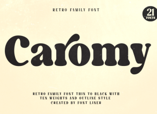 Caromy DEMO Font preview image 1