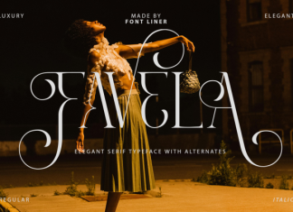 Favela DEMO Font preview image 1