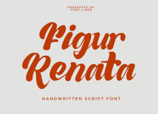 Figur Renata Font preview image 1