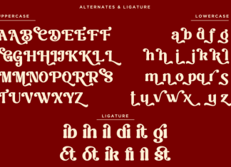 Belyora DEMO Font preview image 2