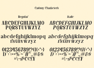 Caromy DEMO Font preview image 2