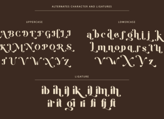 Kasogi Font preview image 2