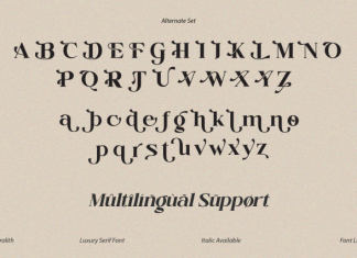 Coralith DEMO Font preview image 3