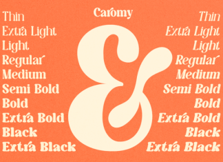 Caromy DEMO Font preview image 3