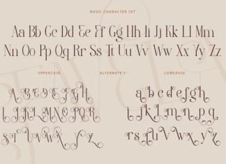 Favela DEMO Font preview image 2