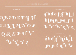 Jalibar Font preview image 2