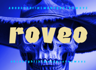Creatball Wirl Font preview image 1