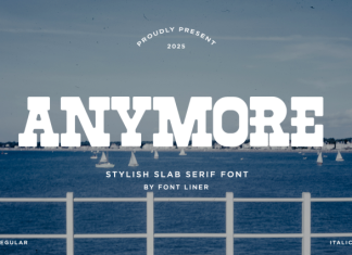 Anymore DEMO Font preview image 1