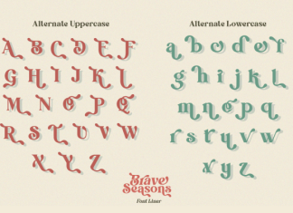 Brave Seasons DEMO Font preview image 3