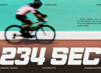 234 Sec – Sport Headline Display Font preview image 1