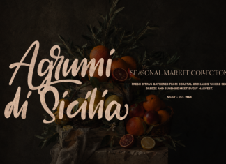Sometime Yours Font preview image 3