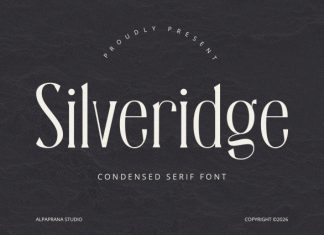 Silveridge – Serif Font preview image 1