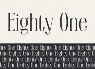 Silveridge – Serif Font preview image 2