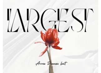 ACROSS DISEASES – FASHION SERIF FONT preview image 3