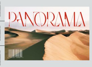 ACROSS DISEASES – FASHION SERIF FONT preview image 2