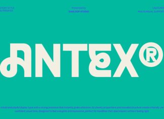 ANTEX – Bold Playful Quirky Font preview image 1