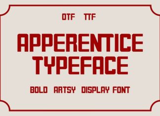 APPERENTICE – Modern Brush Handwritten Font preview image 1