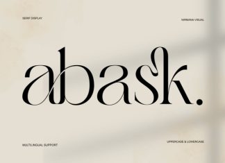 Abask – Modern & Stylish Serif Font preview image 1