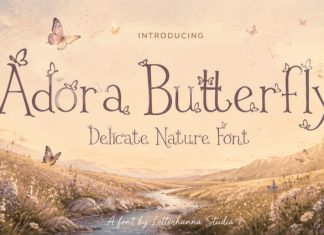 Adora Butterfly Font preview image 1