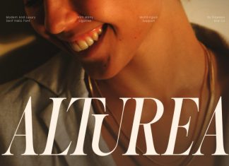 Alturea – Modern Luxury Italic Serif Font preview image 1