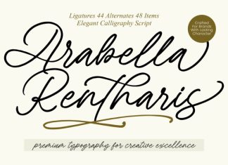 Arabella Rentharis Font preview image 1
