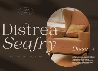 Arfide Mostera Aesthetic Serif Font preview image 3