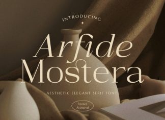 Arfide Mostera Aesthetic Serif Font preview image 1
