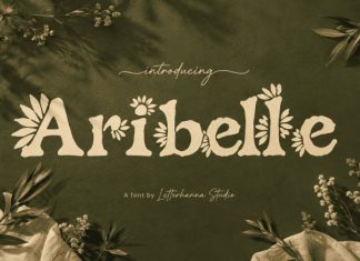 Aribelle Font preview image 1