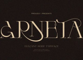 Arneta Font preview image 1
