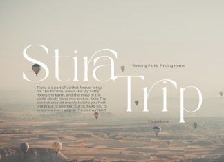 Aurelia – Elegant Serif Font preview image 2