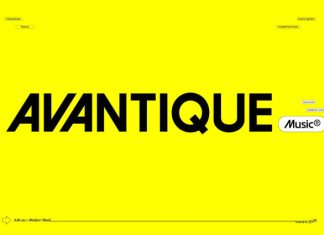 Avantique Geometric Variable 7 Fonts preview image 1