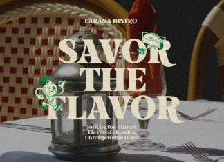 Avedoria Retro Feel Serif Font preview image 3