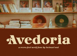 Avedoria Retro Feel Serif Font preview image 1