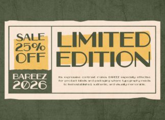 BAREEZ Font preview image 3
