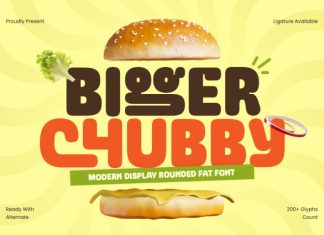 BIGGER CHUBY Font preview image 1