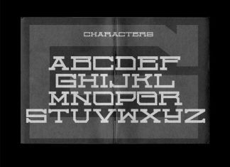 BLACK BEANIE Font preview image 3