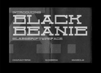 BLACK BEANIE Font preview image 1
