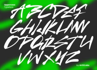 Back Alle Font preview image 2