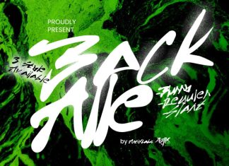 Back Alle Font preview image 1