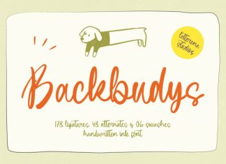 Backbudys – Handwritten Ink Font preview image 1