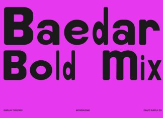 Baedar Mix Font preview image 1