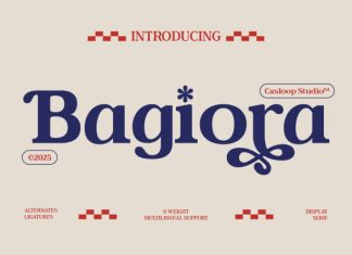 Bagiora – Chunky Foodie Serif Font preview image 1