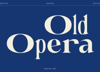 Baleny Serif Mix Font preview image 3