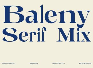 Baleny Serif Mix Font preview image 1