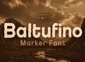 Baltufino Personal Use Only Font preview image 1