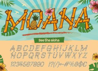 Baluthi – Hawaiian Bamboo Display Font preview image 2