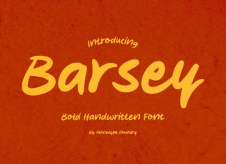 Barsey Font preview image 1