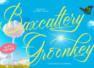 Baxcattery Groonkey – Modern Calligraphy Font preview image 1